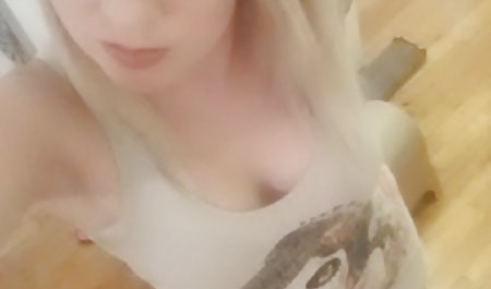 گربه بنگ بوکای فول سک30 عزیزم